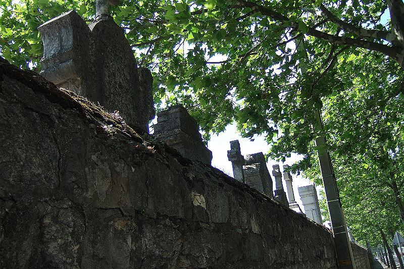 2010-06- (81).JPG